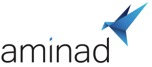 aminad consulting